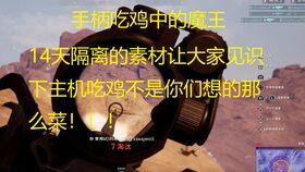 呆瓜的日常吃鸡,欢乐吃鸡,笑料连连