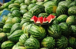 天台亭子吃瓜,夏日吃瓜,悠然自得的生活画卷