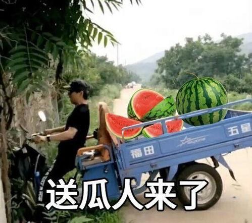 吃瓜风雨,揭秘娱乐圈的幕后真相