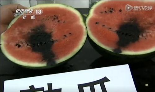 文水吃瓜视频,一场视觉盛宴背后的故事