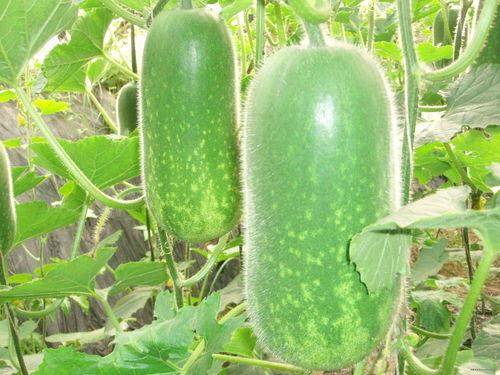 浠浠吃瓜,揭秘娱乐圈那些不为人知的幕后故事