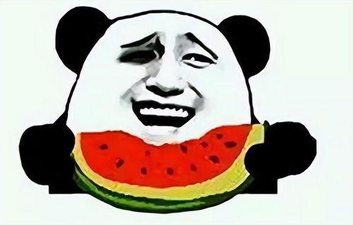 吃瓜发红包,共享快乐，传递温暖