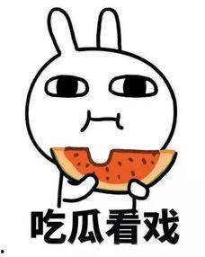 吃瓜咸鱼007,网络红人的崛起之路