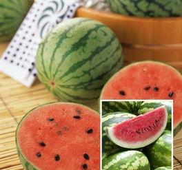 大瓜喜欢吃瓜,揭秘瓜界美食传奇