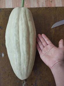 吃瓜的小叶子,揭秘娱乐圈那些事儿