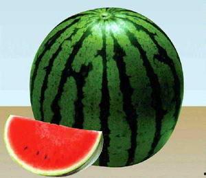 吃瓜会火,揭秘网络爆红背后的故事