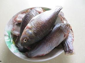 小酥鱼吃瓜,揭秘娱乐圈幕后故事